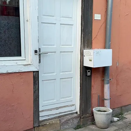 Duplex Fleckenstein - Centre Historique De アグノー