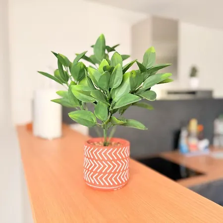 Duplex Fleckenstein - Centre Historique De アパート