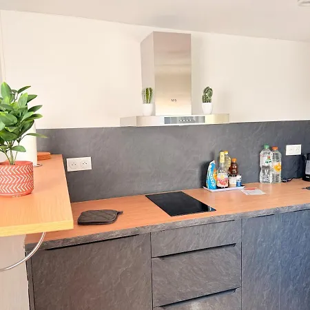 Duplex Fleckenstein - Centre Historique De